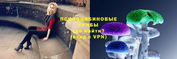 стафф Баксан