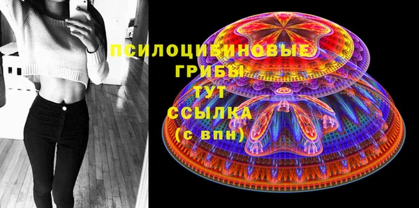 дмт Балахна