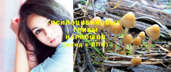 дмт Балахна